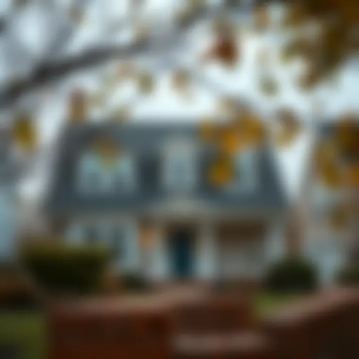 Magnificent The Comprehensive Guide to Checking Liens Against Property