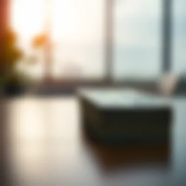 Notable Eligibility Criteria for the PPP Loan Program Notable Eligibility Criteria for the PPP Loan Program