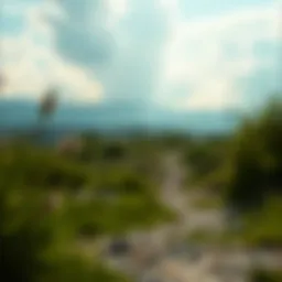 A serene landscape symbolizing peace in financial freedom