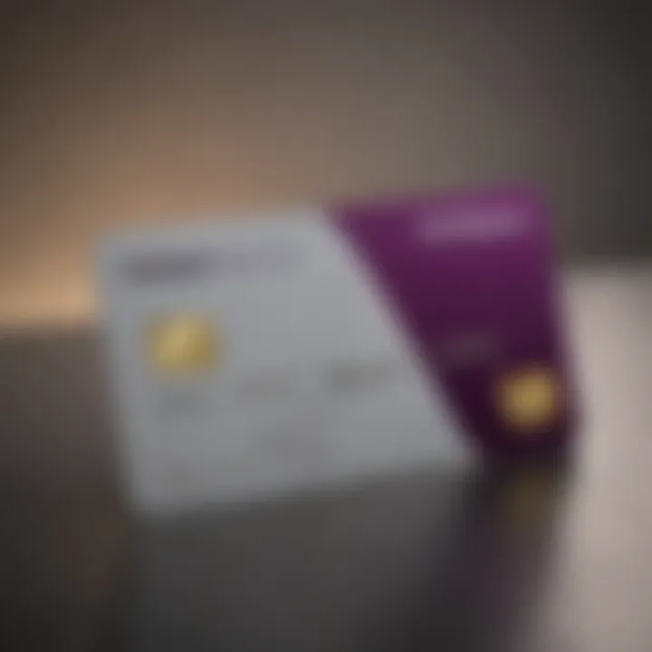 Visual representation of the Ally Debit Card showcasing its sleek design